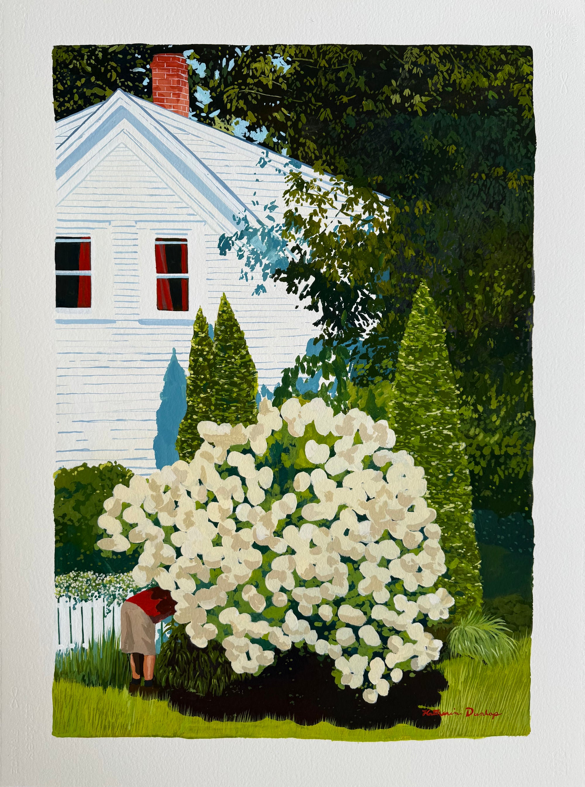 Trimming the Hydrangeas