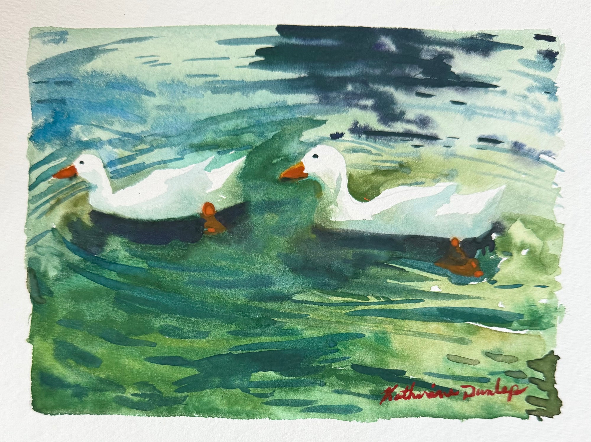 Duck Study