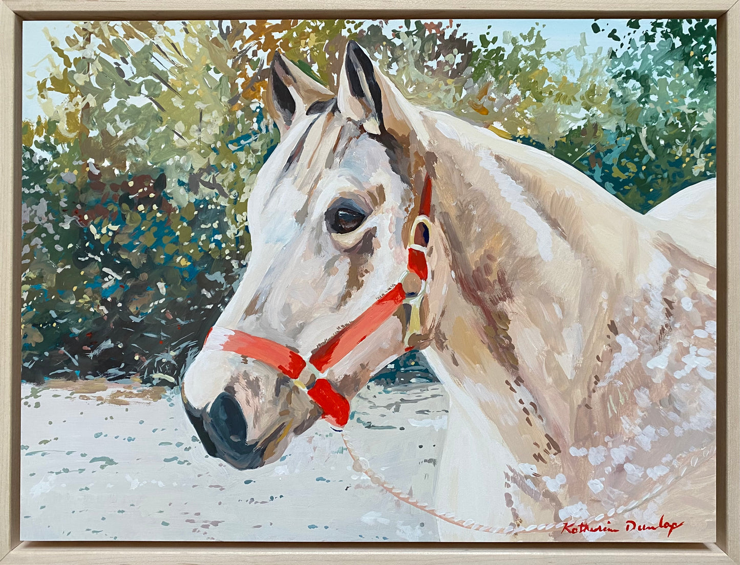 The Horse