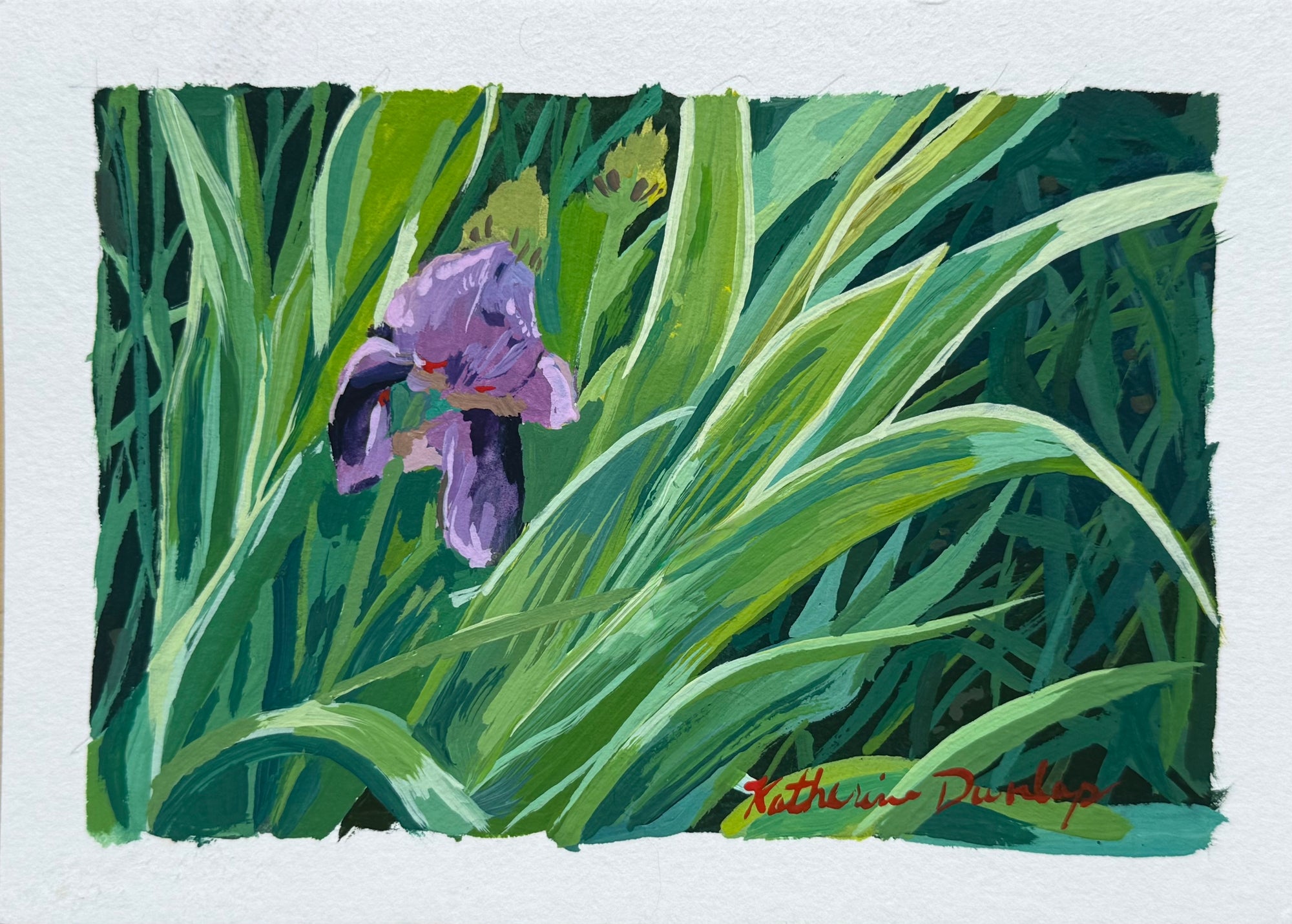 Spring Time Flower No.1