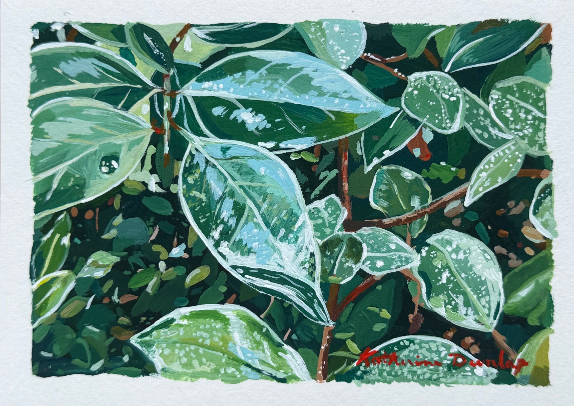 Water Puddles on Leaves