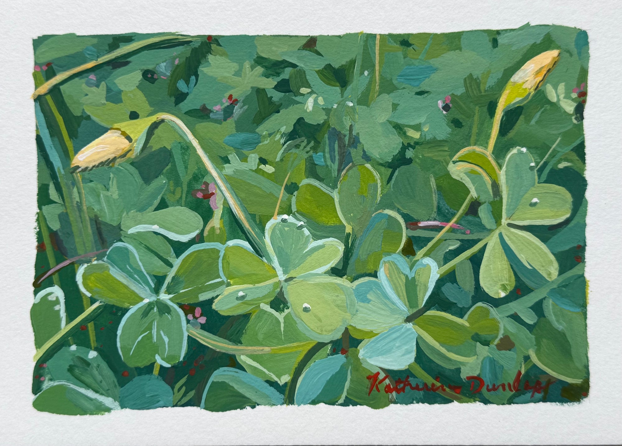 Budding Flowers
