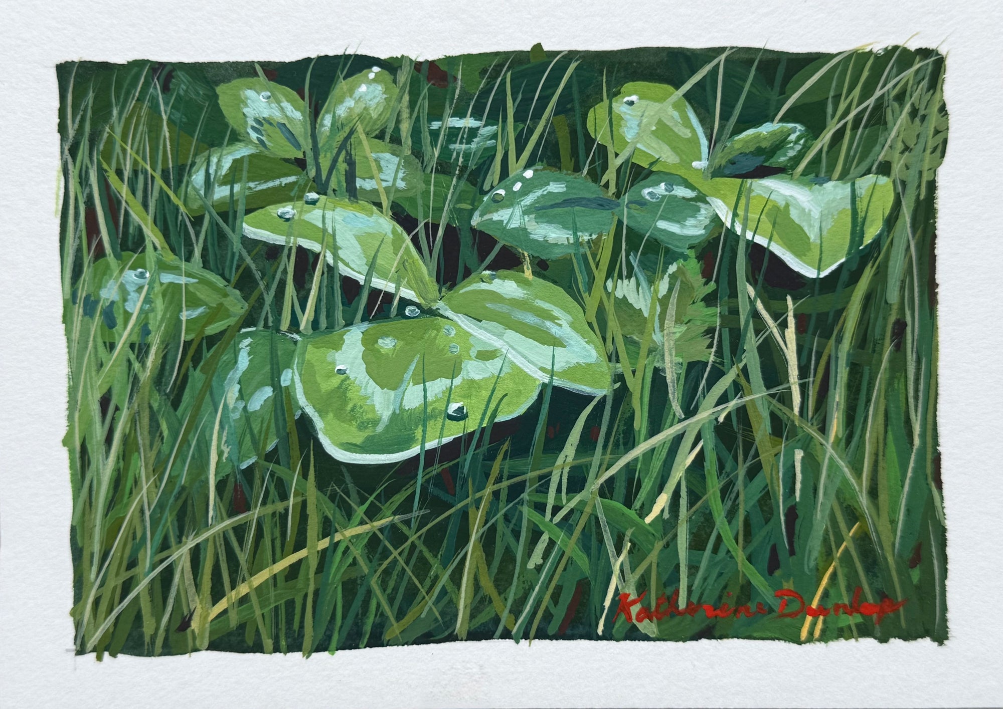 Through the Grass