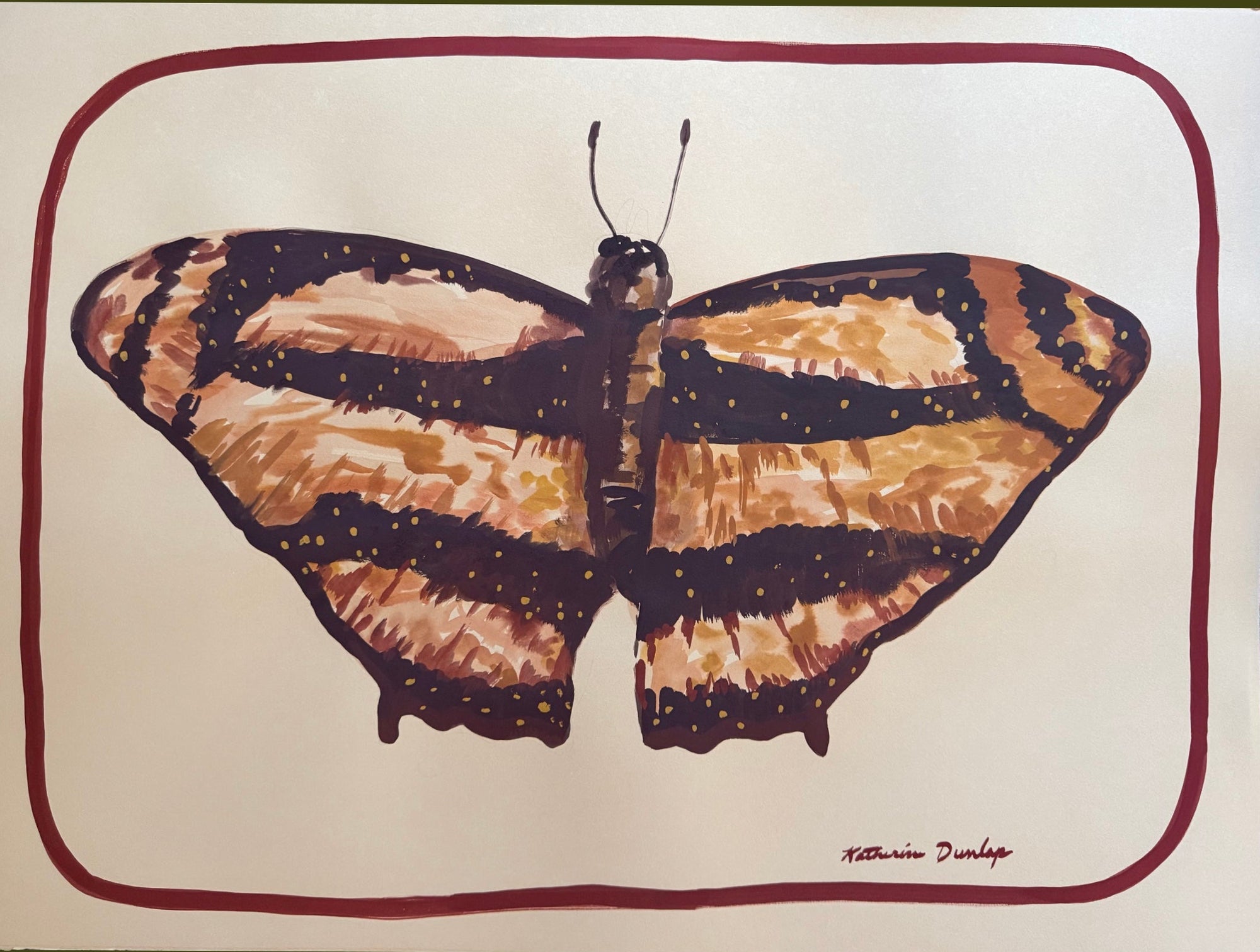Butterfly Illustration NO. 9