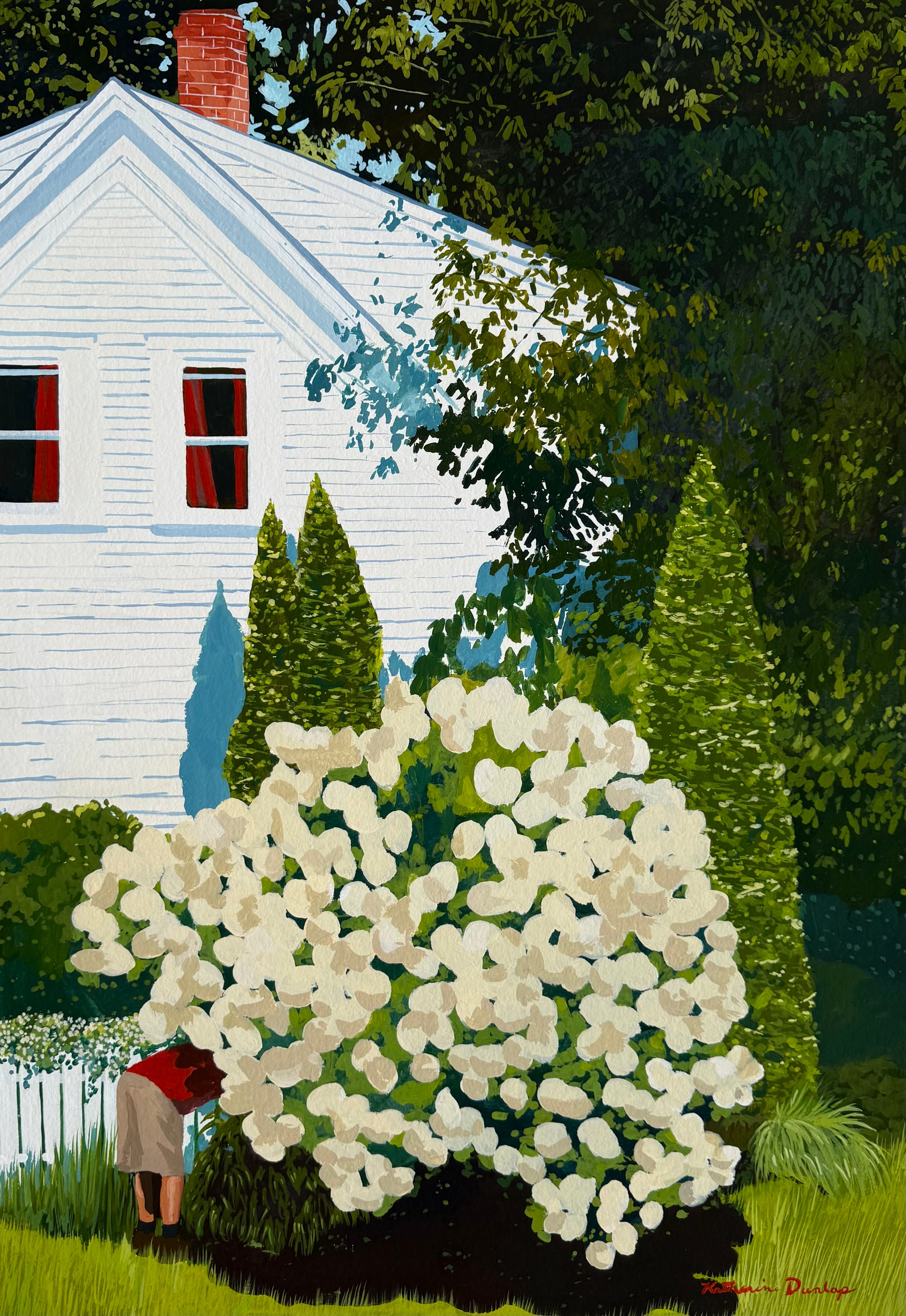 Trimming the Hydrangeas