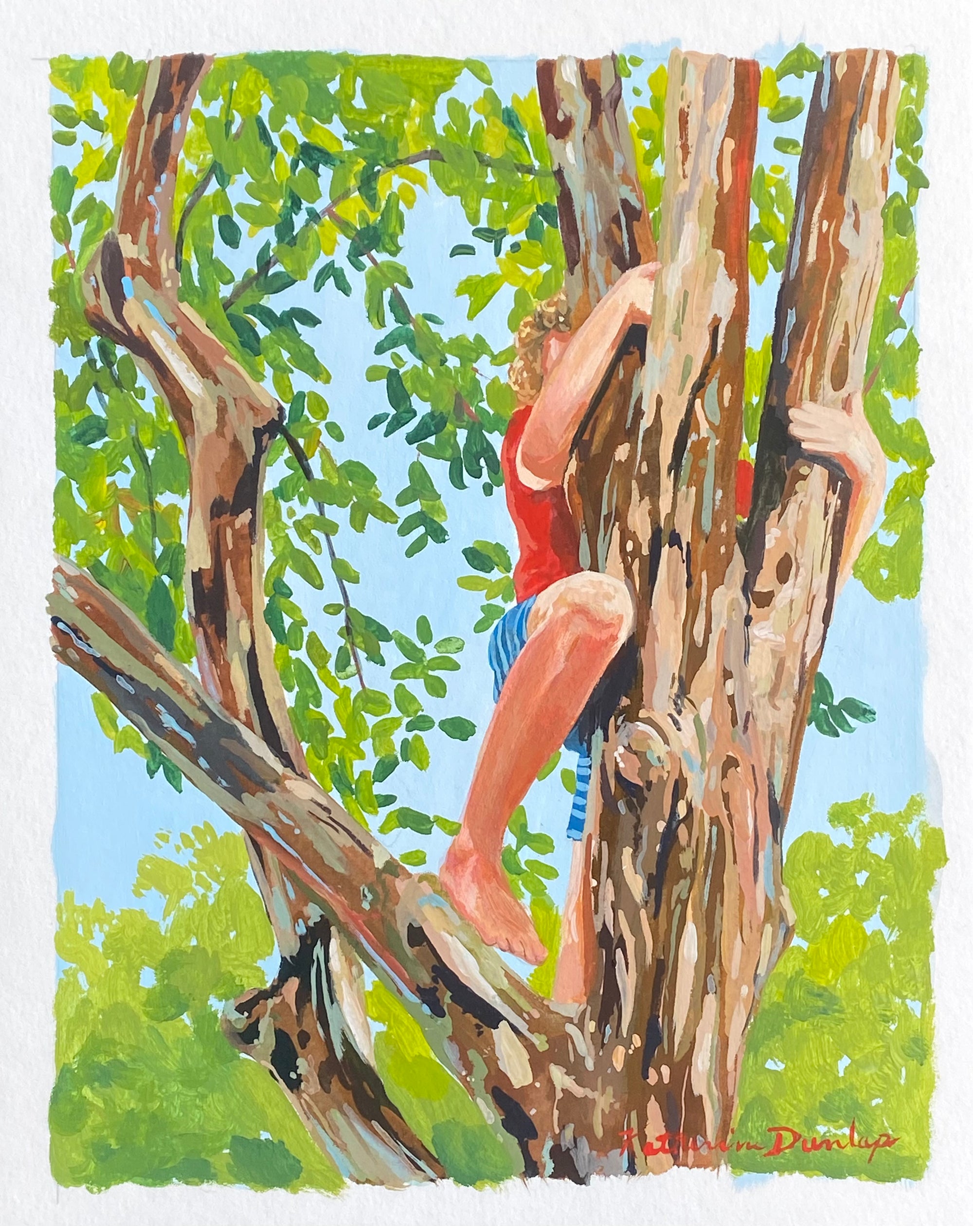 Boy in Tree